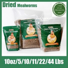 Lot Dried Mealworms Bulk for chickens Birds Bluebirds Hamsters Hen Meal Worms US