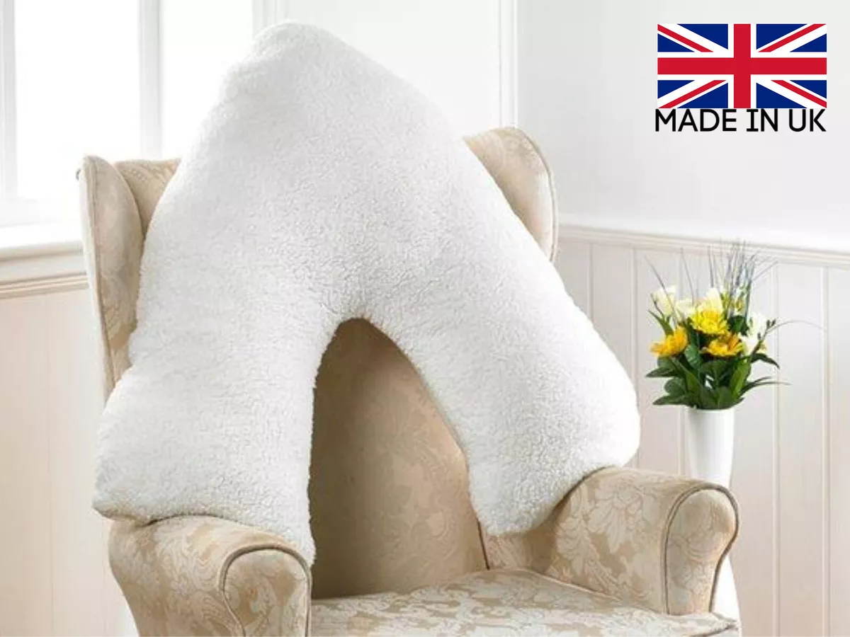 Ebay 2025 v pillow