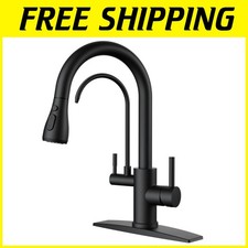 High Arc Single Handle Kitchen Faucet with Water Filter