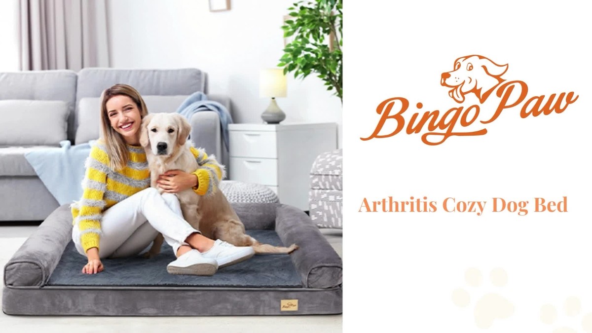 Orthopädisches Hundebett Mit Visco-Schaum – Entlastung Für Gelenke & Rücken