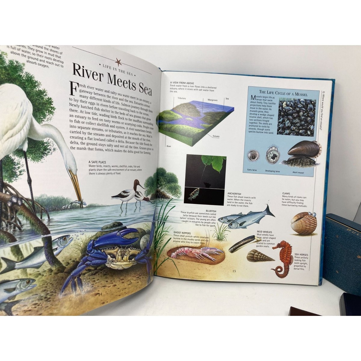 Under the Sea ~ Nature Company Discoveries Library