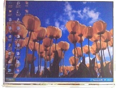 15 in Screen Laptop Screens & LCD Panels for Toshiba Satellite
