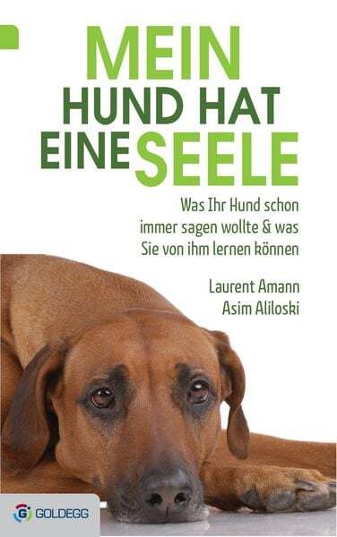 Thumbnail - Mein Hund Hat Eine Seele