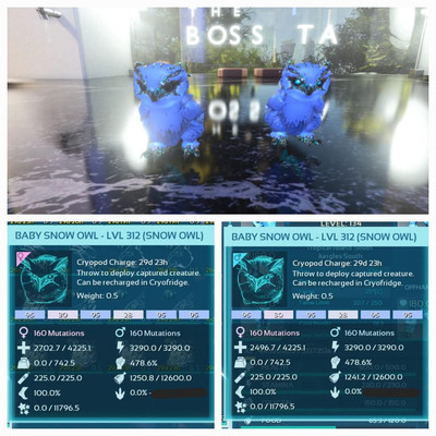 ARK ASA PVE OFFICIAL PAIR BABY SNOW OWL HIGH STATUS EXTINCTION PC/XBOX/PS5