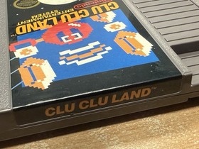 Clu Clu Land Game Black Box (NES)