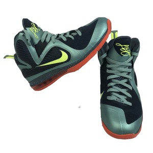 lebron 9 high