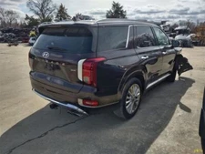 PALISADE  2020 Air Bag 3010035