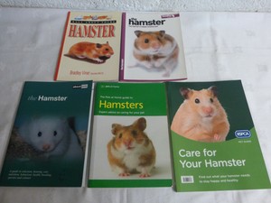 Get Hamster Books X5 All About Good Pet Guide About Pets Pets At For iPhone Wallpaper Hamster Books X5 All About Good Pet Guide About Pets Pets At Free