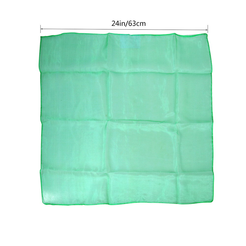 Foto 2 di 12