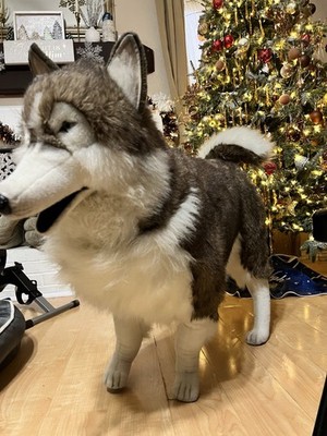 Final Price Hansa Jumbo 43  Long Husky Wolf Rare