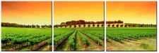 VINEYARD/Ready to Hang mounted fiberboard canvas print/Better than stretched art