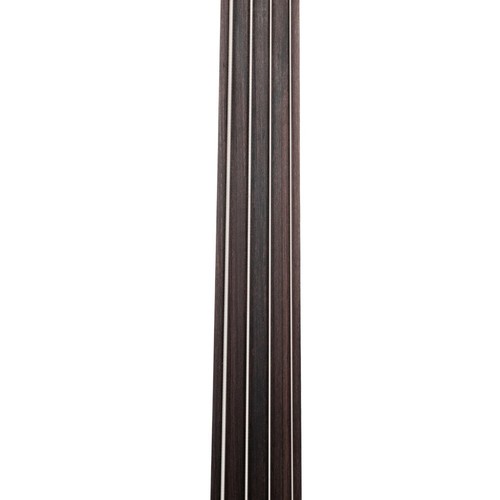 Fretless Electric Bass Guitar, Solid Body, Full Size Rosewood Fretboard, P-Style - Picture 9 of 19