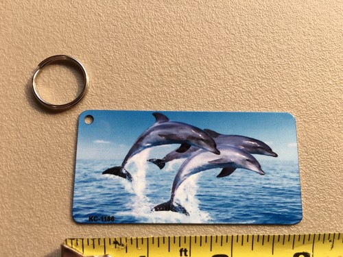 3 Delfines Llavero Metal 1.5 X 3 Regalo Idea Fiesta Favor Medias Relleno #10 - Imagen 3 de 3