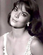 NATALIE WOOD BLACK AND WHITE PUBLICITY PHOTO PRINT 8X10