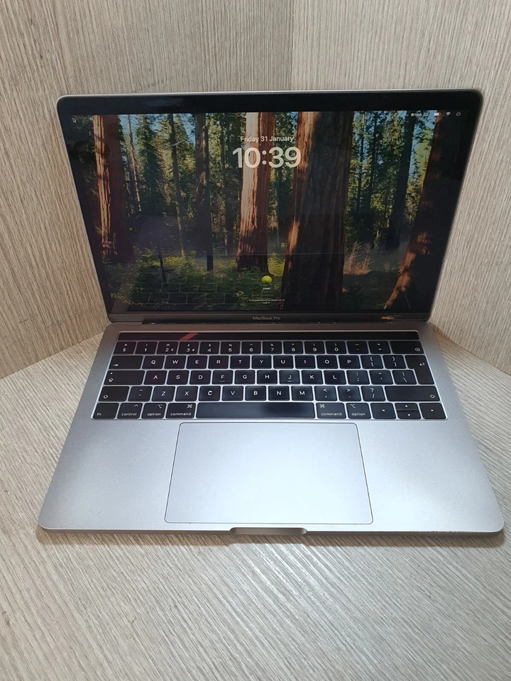 Apple MacBook Pro 13" 2019 · i5 · 16GB · 250GB, photo 1 of 5
