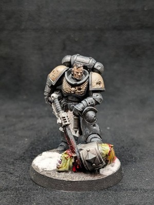 227 Sergeant Jovan Black Templars Primaris Space Marines Well Painted OOP