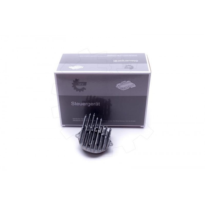 Ballast xénon Mercedes 2189065800 pour réparer un phare qui clignote
