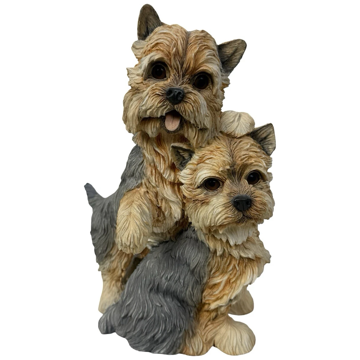 Yorkshire Terrier: aspetto, carattere, prezzo | Magazine