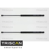 2X Gasfeder FüR Koffer-/Laderaum Triscan 871029242 DäMpfer GasdäMpfer