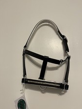 MINI SHETLAND  HEAD COLLAR IN LEATHER WITH SILVER CLINCHER COLOUR BLACK
