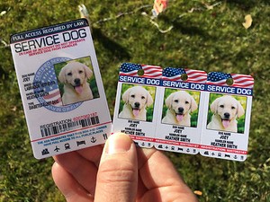esa dog id