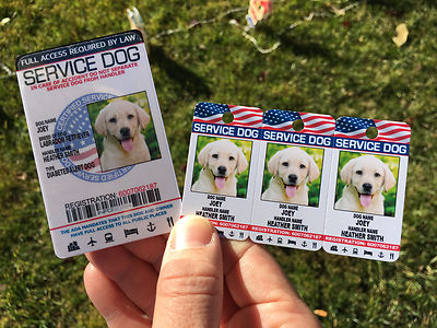 Service Dog Holographic Id Card Keychain Collar Tag Plus Online  Registration