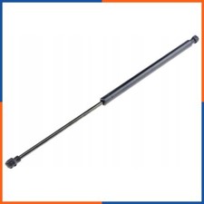 Verin de hayon / de capot Citroen GS