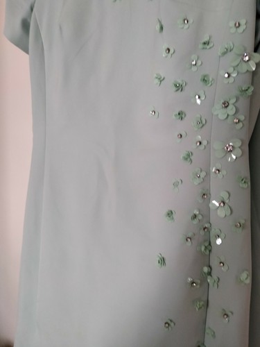 Carla Ruiz Cape Kleid für besondere Anlässe Größe 38 zur Hochzeit getragen. - Bild 12 von 12