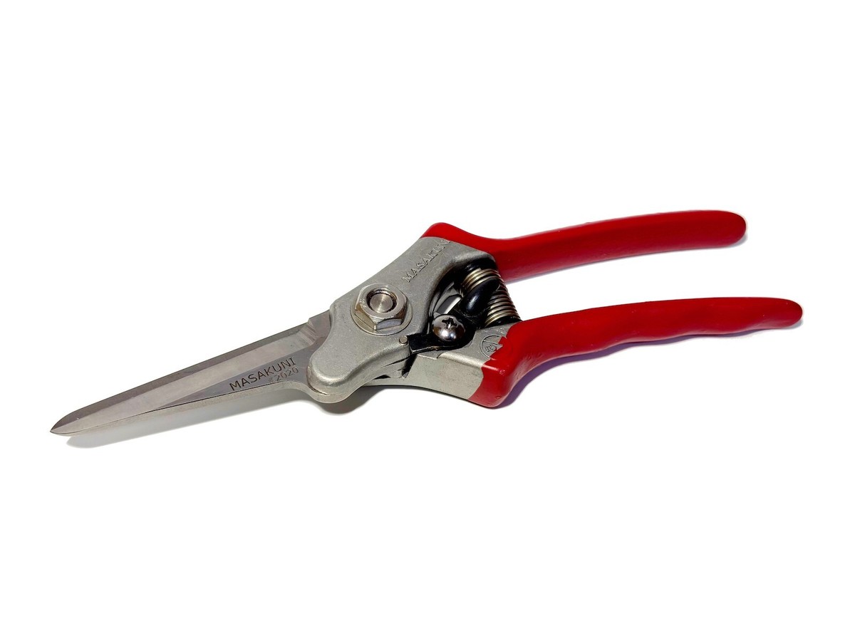 MASAKUNI Bonsai Tool Pruning Shears No.2020 Japanese Trimming Scissors  210mm NEW | eBay