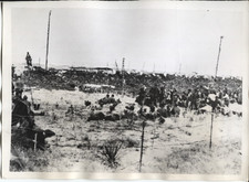 1944 Press Photo First German Soldiers Captured in Invasion of Southern France