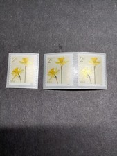 Scott 5903-2c Daffodil Flowers Coil Pair Single-MNH-2024-US