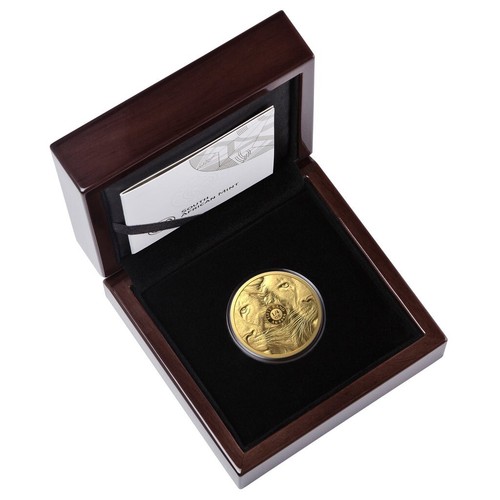 50 Rand BIG FIVE II Leone Sudafrica 1/4 Oz Oro PP 2022 - Picture 4 of 4