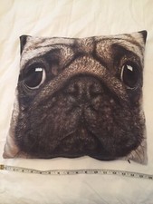 Primark 16” Square Pug