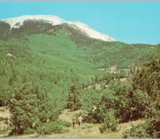 Philmont High Adventure Country Cimarron New Mexico ‘60s Boy Scouts VTG Postcard