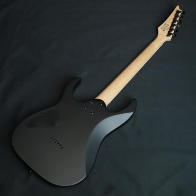 Ibanez Electric guitar RG421EX Black Flat | eBay