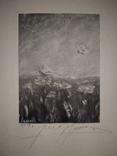 GINO SIGNORI Litografia del 1974"Volo Di Farfalle" Cm 49,5x34,5 firmata numerata