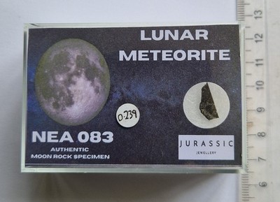 Real Moon Rock Shard Lunar Meteorite NEA 083 In Box 0.239 Grams