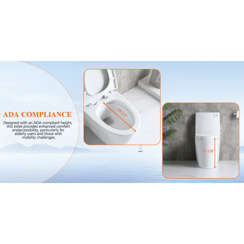 Dual flush one-piece toilet with soft drop seat, comfort seat ADA height - Picture 22 of 24