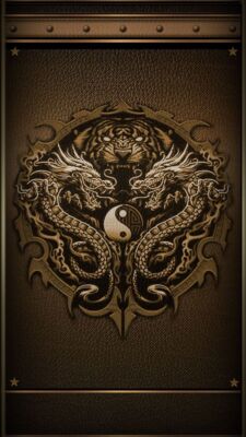 METALLPLATTE Drache Yin Yang 30 X 20 CM