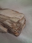 Rare Petrified Wood-Pattern — photo 8