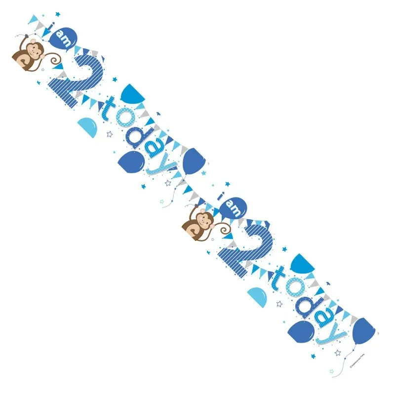 Age 2 Happy 2nd Birthday Blue Silver 2.6m foil Banner Party Decor Holographic