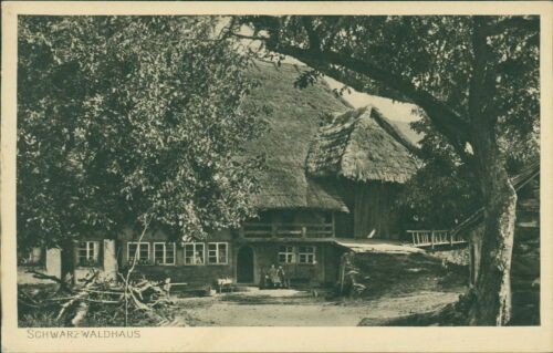 Postcard Black Forest House (No.9501)