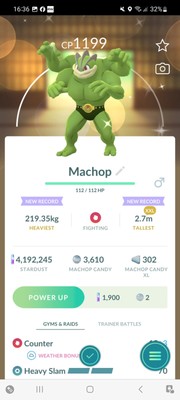 Pokemon Go Shiny Machop ( XXL )  