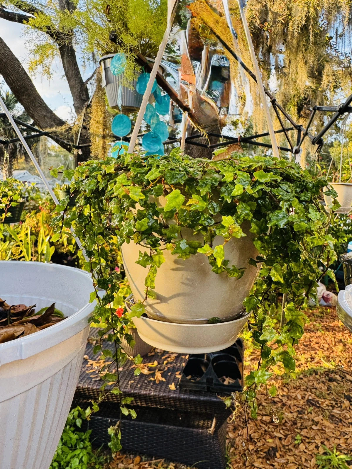 String Of Frogs Basket