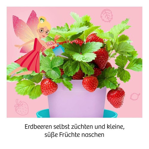 KOSMOS Feen-Erdbeeren - Bild 4 von 6