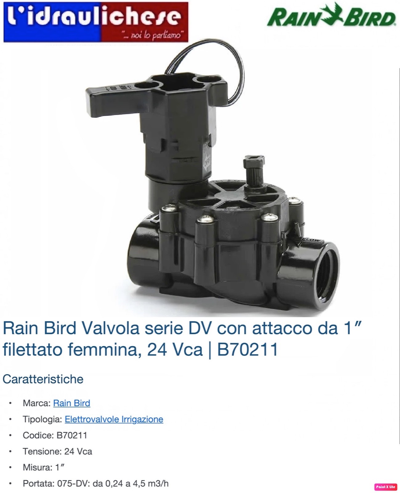 Rain Bird elettrovalvola 100 DV DC  24V   1" FF