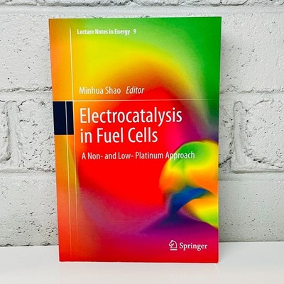 Electrocatalysis in Fuel Cells by Minhua Shao (Paperback Book) Academic