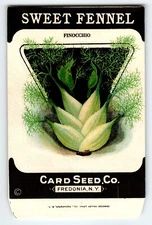Finocchio Sweet Fennel 1920's Card Seed Co Packet EMPTY Vintage Fredonia NY