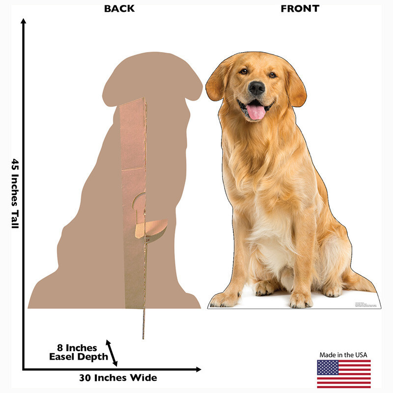 Golden Retriever Equivalent Of Dog Years To Human Years How Old Is