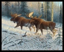 36" X 44" Panel Moose Animals Woodland Fields Black Cotton Fabric D483.68